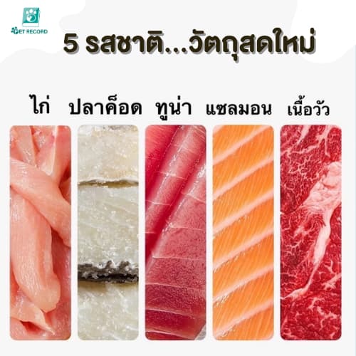 Pet Record ขนมแมวเลีย 16g อร่อยฟิน 5 รสชาติ เกรดพรีเมียม บำรุงขน ไม่เค็ม น้องแมวเลิฟเลย! รูปที่ 9