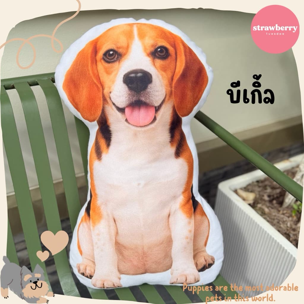 หมอนพิมพ์ลายเจ้าหมา ตุ๊กตาหมา หมอนหมา ขนาด60cm ใบใหญ่ สีสวยคมชัด สต็อคแน่น มีเก็บปลายทาง รูปที่ 7