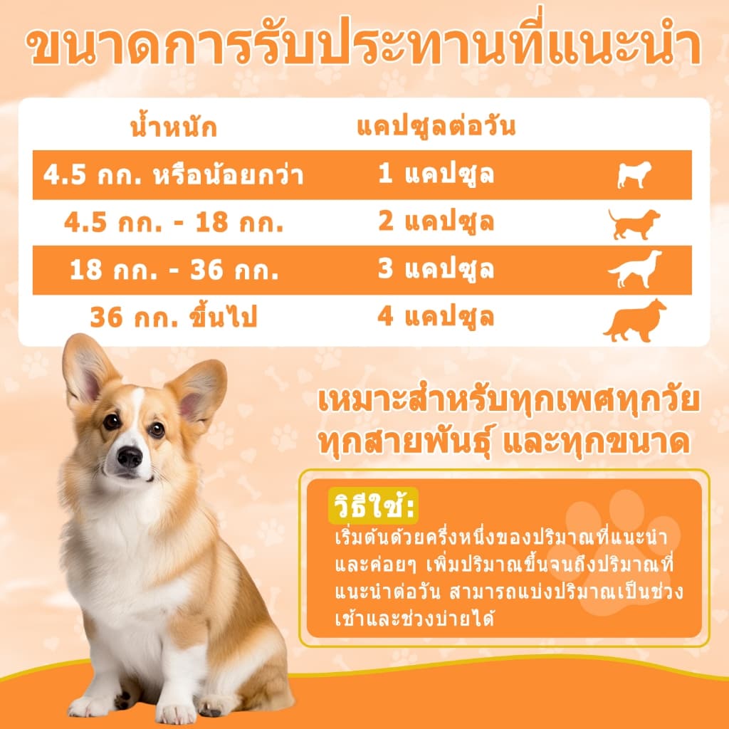 Popoo แพ็คสุดคุ้ม 2สูตร โปรไบโอติกสำหรับสุนัข และ Flea & Tick Prevention for Dogs วิตามินหมา ขนมสุนัข สำหรับสุนัขทุกวัย รูปที่ 9