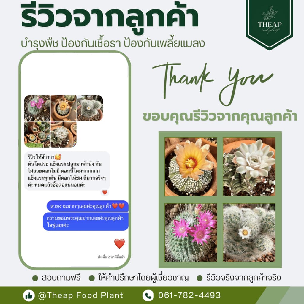 สเปรย์ป้องกันและกำจัดเชื้อราTHEAP รูปที่ 7