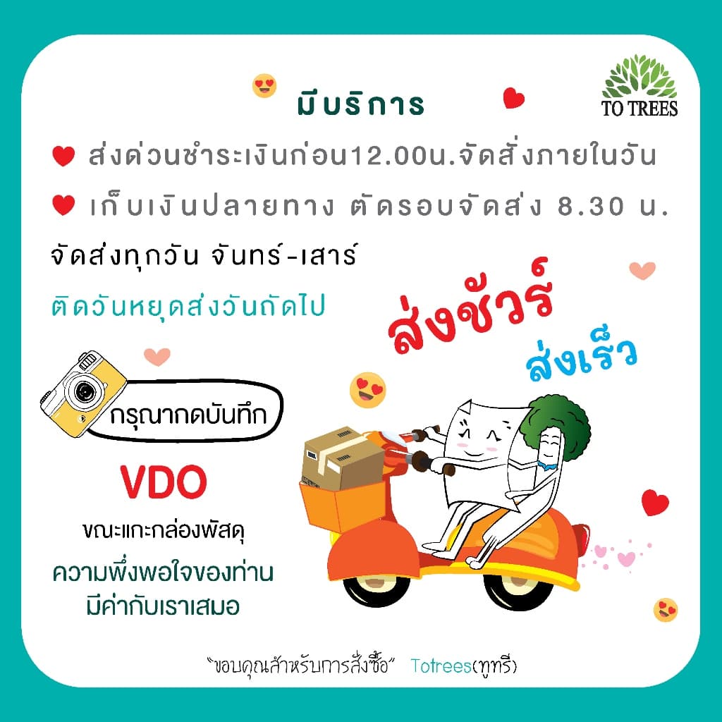 Totrees กล่องใส่เหรียญโปรยทานทรงโดม มี 4 ลาย บรรจุ 100 ชิ้น/ชุด รหัส กล่องเหรียญทรงโดม รูปที่ 4