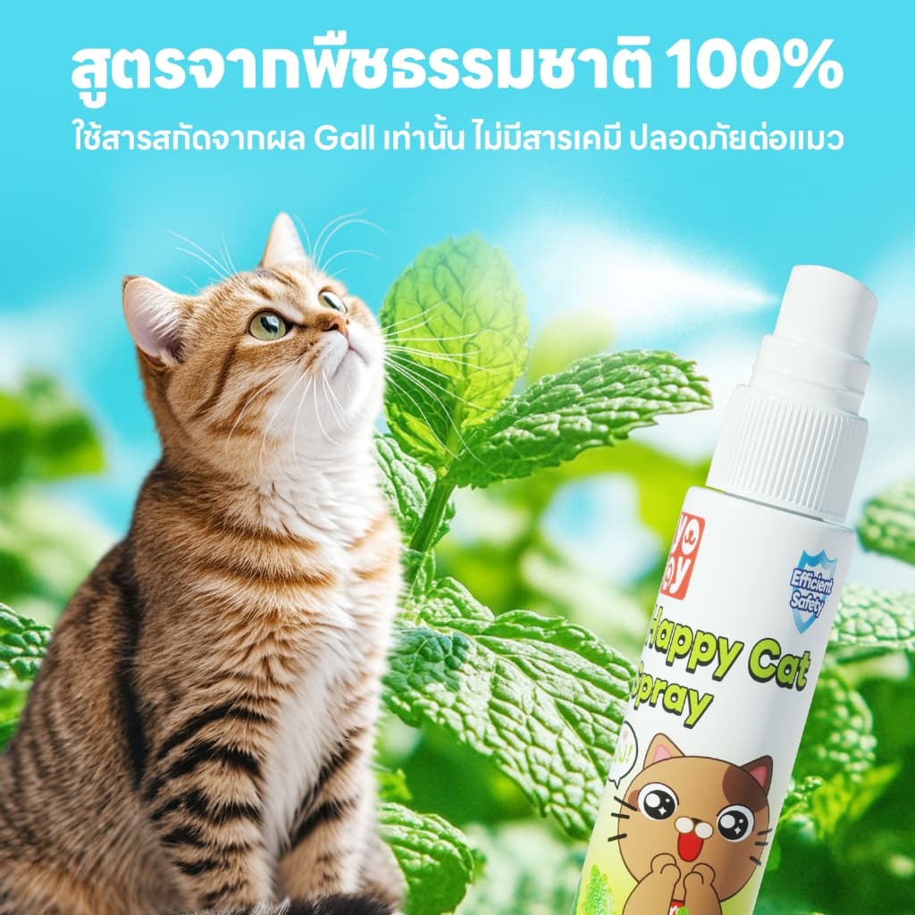 yoyopet : Happy cat spray สเปรย์แมวขี้อ้อน แมวฟิน ขี้เล่น สารสกัดธรรมชาติ ปลอดภัย รูปที่ 8