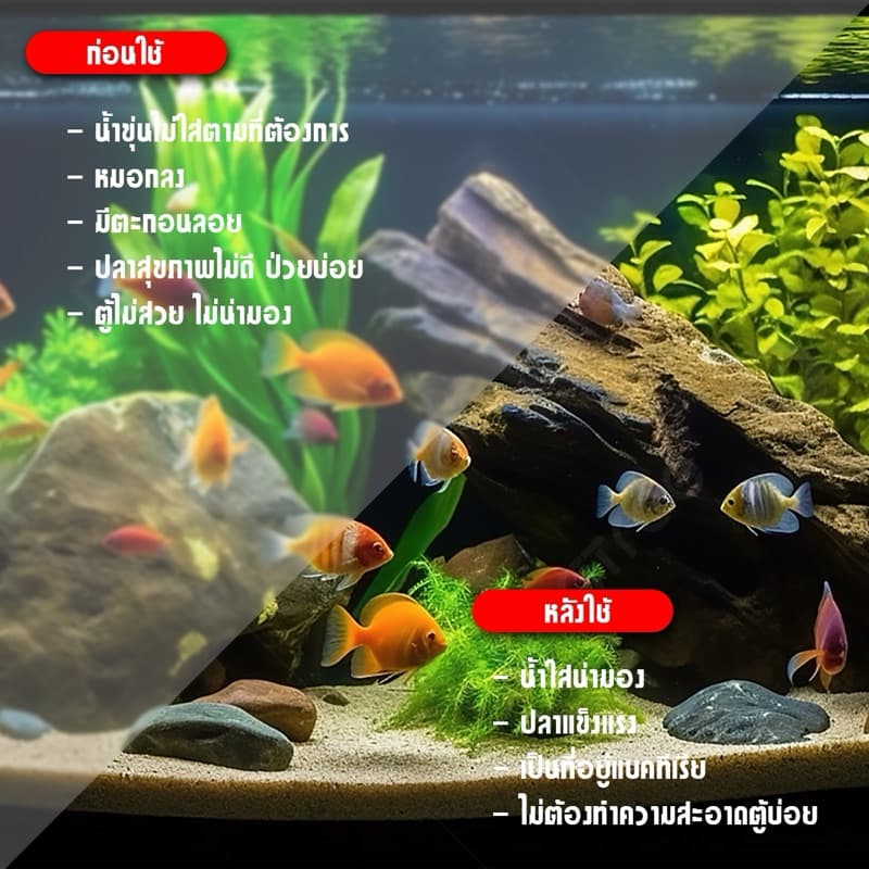 ชุดวัสดุกรองเทพ 10 in 1 ปรับน้ำใสใน 3 วัน | แถมฟรีสูงสุด 60 กรัม รูปที่ 6