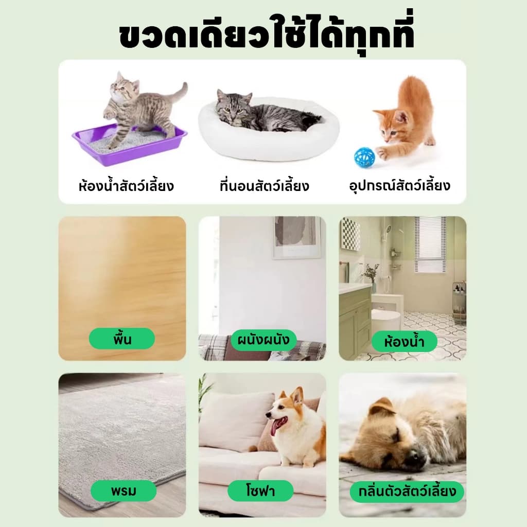 ขจัดกลิ่นและฆ่าเชื้อ 1 วินาทีLab สเปรย์ดับกลิ่นฉี่แมว สเปรย์ดับกลิ่นสัตว์เลี้ยง ดับกลิ่นทรายแมว สเปรย์ดับกลิ่นสุนัข รูปที่ 6