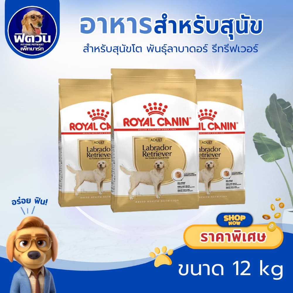 ROYAL CANIN LABRADOR ADULT สุนัข1ปีขึ้นไป สูตรเฉพาะสายพันธ์ กระสอบ 12 กิโลกรัม{อาหารสุนัขเม็ด} รูปที่ 2