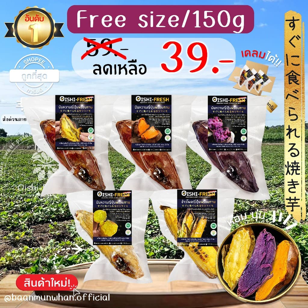 Oishi-Fresh มันหวานญี่ปุ่นปลูกไทยเบนิฮารุกะ โอกินาว่า เพอเพิ่ลสวีท เผาพร้อมทาน หอม หวาน จัดส่ง 24 ชม. รูปที่ 1