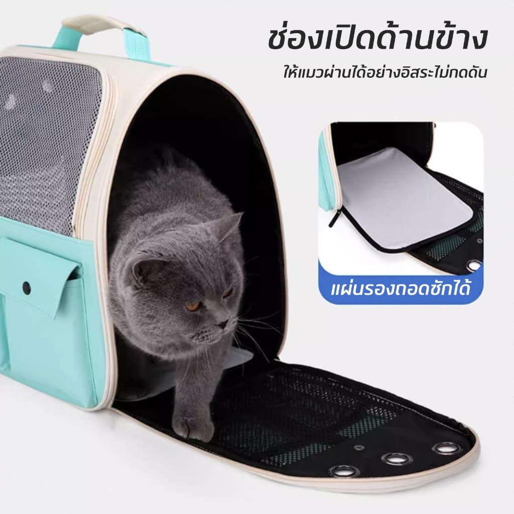 PET LIFE กระเป๋าเป้ใส่สัตว์เลี้ยง พับเก็บได้ ระบายอากาศได้ หน้าต่างกันสาดสองด้าน กระเป๋าสะพายแมว รูปที่ 4
