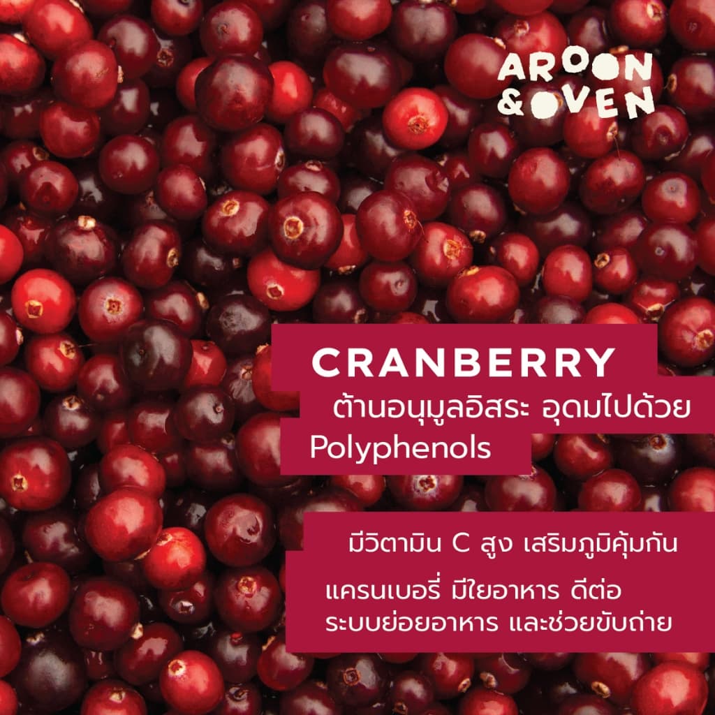 Cranberry Walnut Sourdough : Wholewheat 800g & 400g ไม่มี alcohol รูปที่ 6