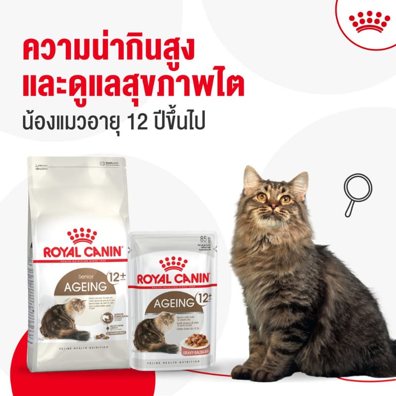 Royal canin อาหารเม็ดแมว โรยัลคานิน ครบทุกสูตร แม่แมว ลูกแมว แมวโต แมวสูงอายุ รูปที่ 2
