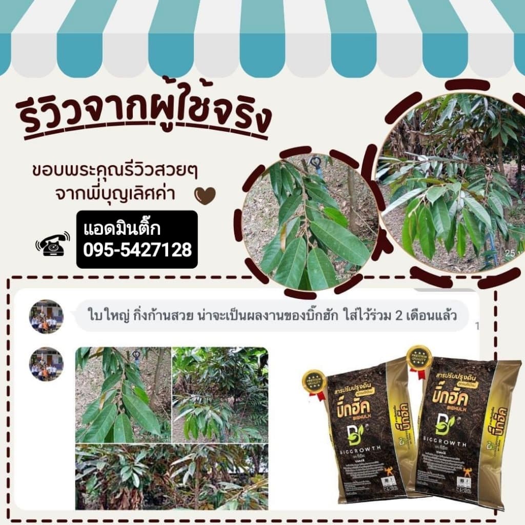 Big Hulk – บิ๊กฮัค | สารปรับสภาพดินสูตรพรีเมี่ยม | เม็ด 3 สี | ไม่มีเคมี | บรรจุ 25 กก. รูปที่ 4