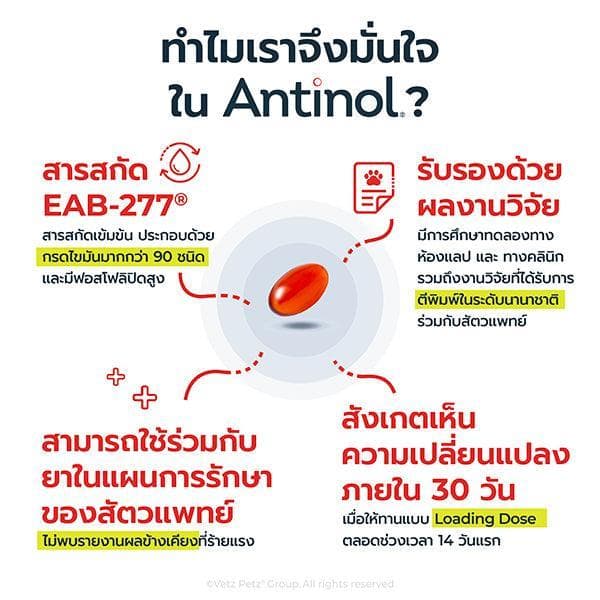 Antinol Dogs อาหารเสริม บำรุงข้อ สำหรับสุนัข 60เม็ด รูปที่ 3