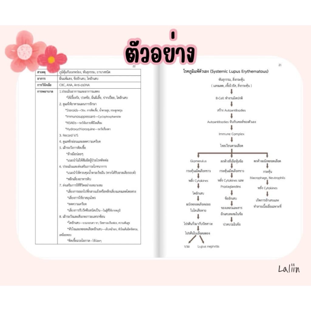 หนังสือสรุปโรคและการพยาบาล เล่ม 1 รูปที่ 4