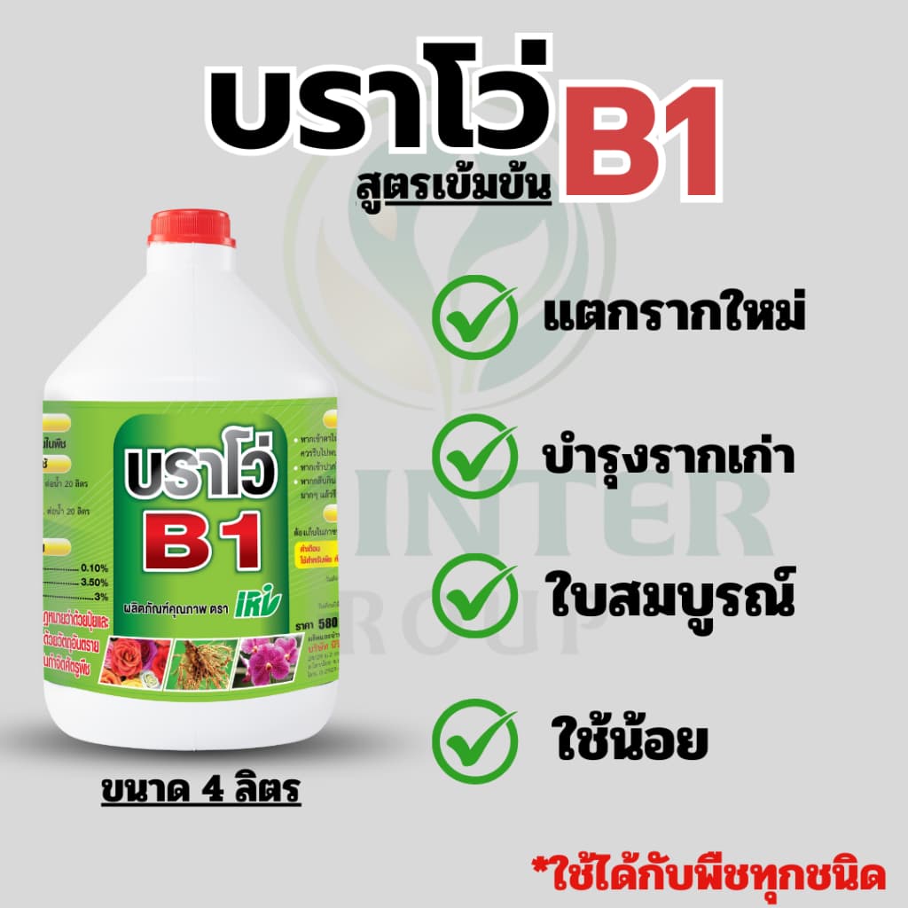 สารเสริมราก บราโว่บี1 ช่วยให้รากแตกใหม่ รากเยอะ ต้นสมบูรณ์ เพาะเมล็ด สำหรับต้นใหญ่ สูตรใช้น้อย สุดคุ้ม ขนาด 4 ลิตร. รูปที่ 1