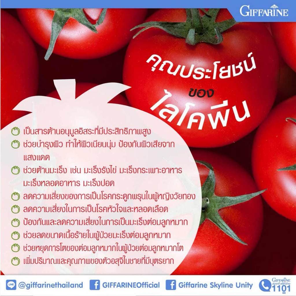 ไลโคปีน ไลโคพีน กิฟฟารีน มะเขือเทศ มะเขือเทศแคปซูล LYCOPENE GIFFARINE รูปที่ 3