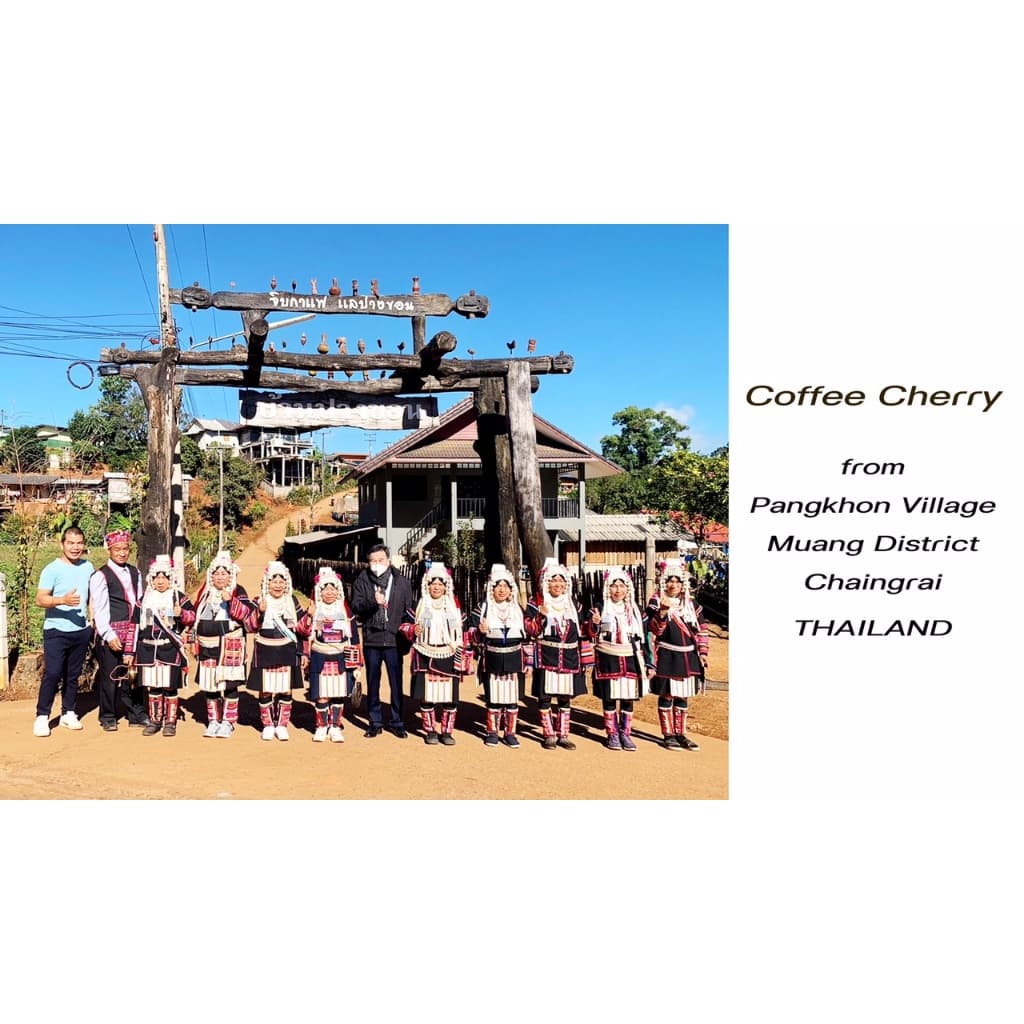 Pusang Coffee -เมล็ดกาแฟคั่วอ่อน ปางขอน จ.เชียงราย 250 กรัม รูปที่ 8