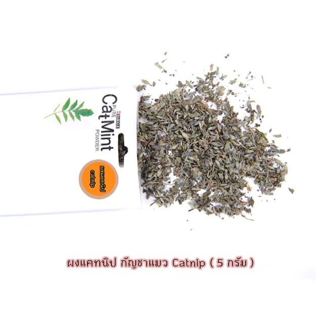 AL-021 ผงแคทนิป กัญชาแมว Catnip สมุนไพรแมว แคทนิป แคตนิป 5กรัม รูปที่ 3