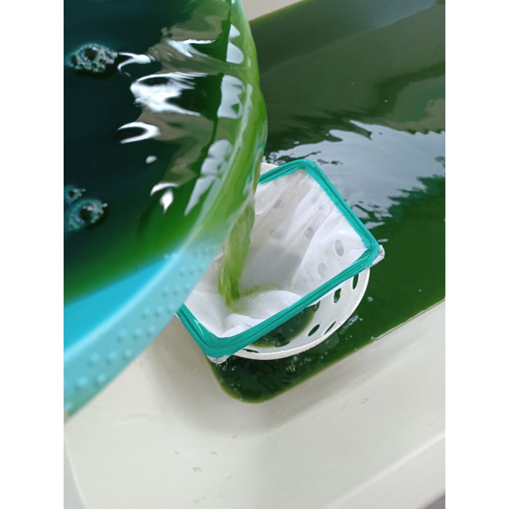 หัวเชื้อน้ำเขียว Chlorella สาหร่ายคอลเรลล่า สำหรับเพาะเลี้ยงไรแดง รูปที่ 2