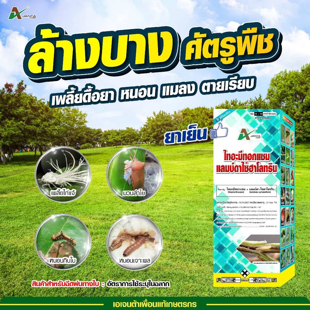 ไทอะมีทอกแซม + แลมป์ดาไซฮาโลทริน สูตรเย็น สูตรพิเศษ ZC น็อคแรง คุมนาน กำจัดเพลี้ยไฟ เพลี้ยจั๊กจั่น แมลงปีกแข็ง รูปที่ 2