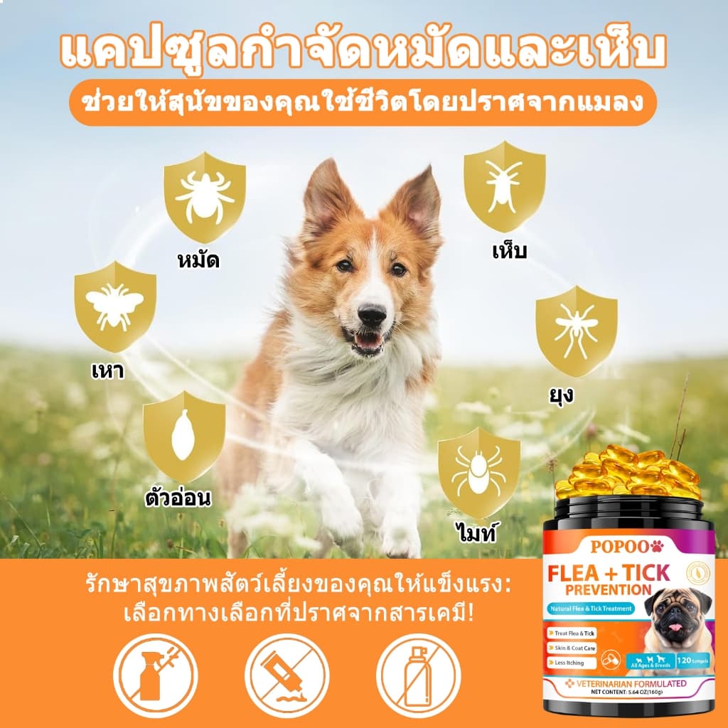Popoo แพ็คสุดคุ้ม 2สูตร โปรไบโอติกสำหรับสุนัข และ Flea & Tick Prevention for Dogs วิตามินหมา ขนมสุนัข สำหรับสุนัขทุกวัย รูปที่ 7