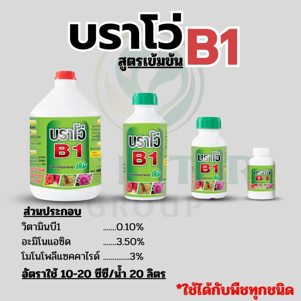 สารเสริมราก บราโว่บี1 ช่วยให้รากแตกใหม่ รากเยอะ ต้นสมบูรณ์ เพาะเมล็ด สำหรับต้นใหญ่ สูตรใช้น้อย สุดคุ้ม ขนาด 4 ลิตร. รูปที่ 2