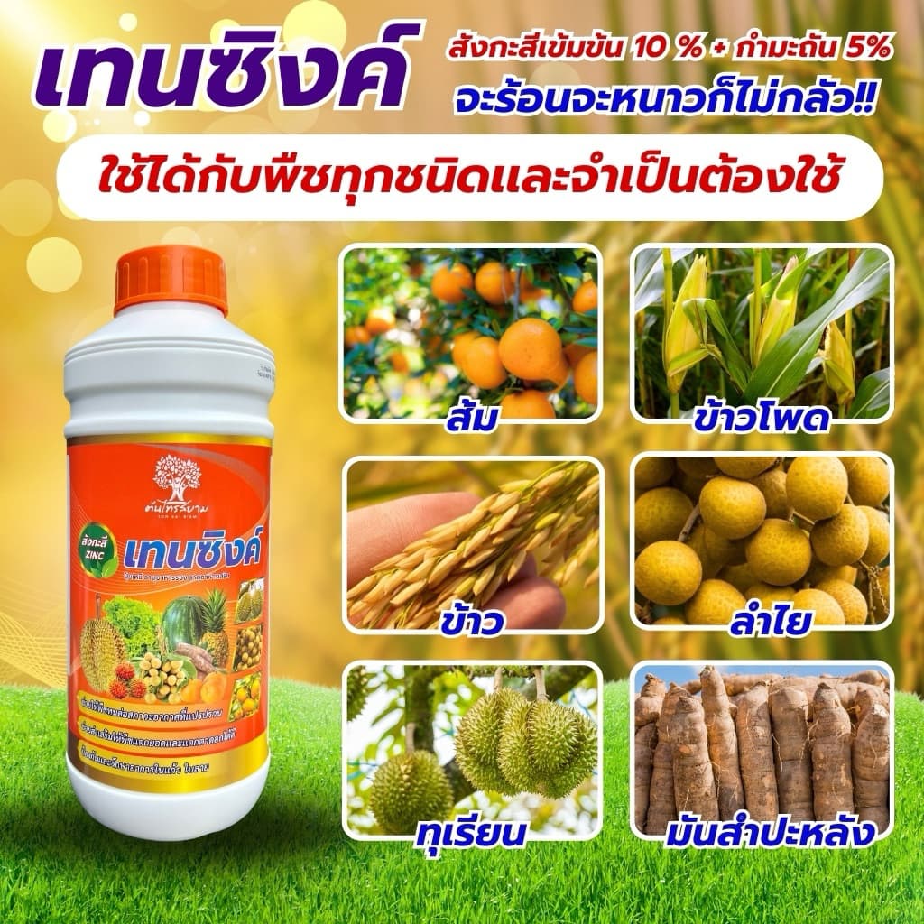 เทนซิงค์ สังกะสีสูตรเข้มข้น 10%+กำมะถัน 5% ขนาด 1ลิตร ทนต่อทุกสภาพอากาศ เร่งการเเตกยอด เเตกใบ แก้อาการใบเหลือง รูปที่ 4