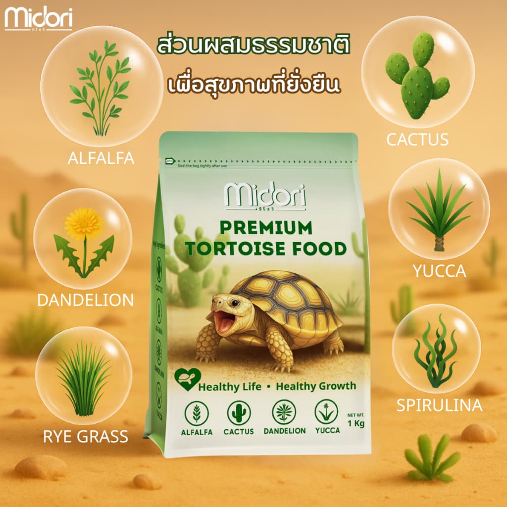 อาหารเต่าบก สูตรกระบองเพชร Midori Zoo Premium Tortoise Food อาหารเต่าบกมิโดริ อาหารเต่าซูคาต้า เต่าบกทุกสายพันธุ์ รูปที่ 2
