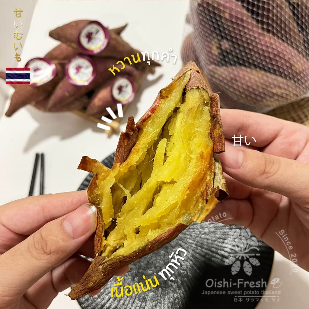 Oishi-Fresh มันหวานญี่ปุ่นปลูกไทยเบนิฮารุกะ โอกินาว่า เพอเพิ่ลสวีท เผาพร้อมทาน หอม หวาน จัดส่ง 24 ชม. รูปที่ 8