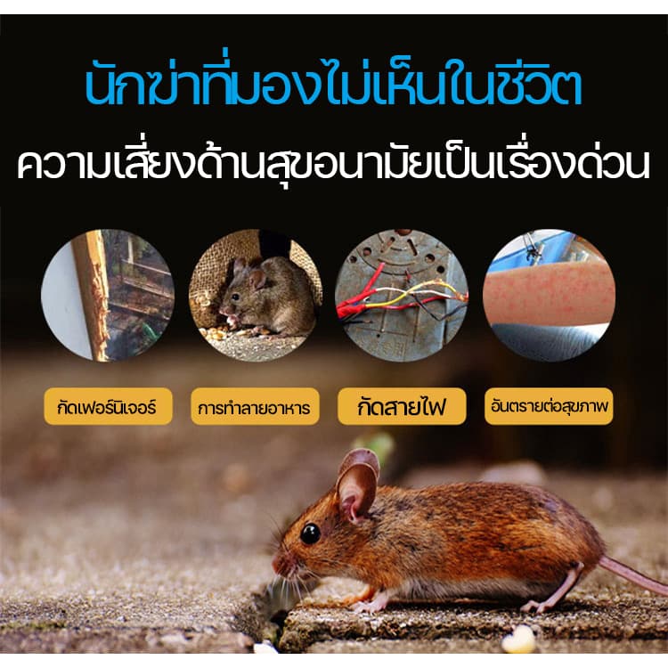 ปลอดหนูตลอดทั้งปียาฆ่าหนู ยากำจัดหนู เหยื่อกำจัดหนู ตายแห้ง ​ไม่เหม็น ใช้งานง่าย รูปที่ 4