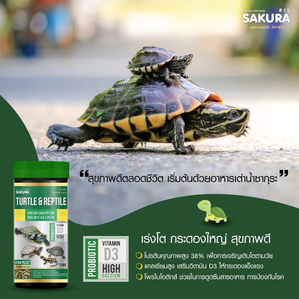 SAKURA SPECIAL TURTLE & REPTILE อาหารเต่า และสัตว์เลื้อยคลาน สูตรเร่งโต กระดองใหญ่ สุขภาพดี รูปที่ 3