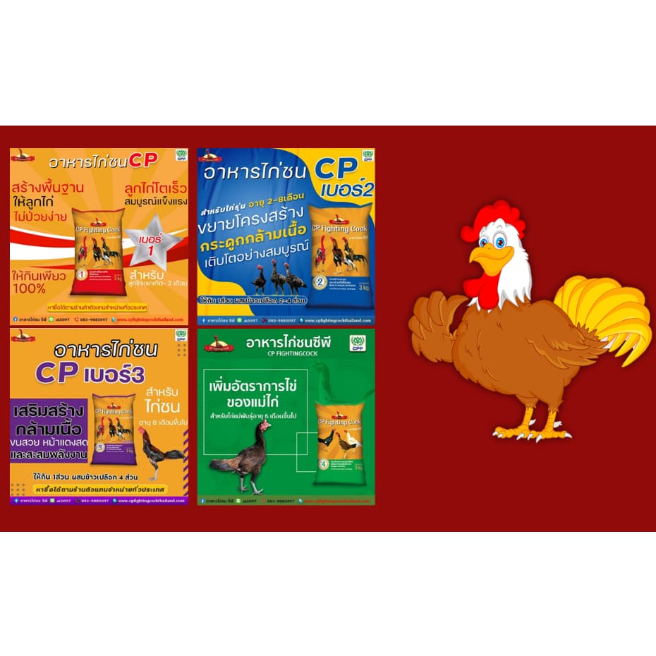 อาหารไก่ชน Cp ขนาด 3 กก รูปที่ 2