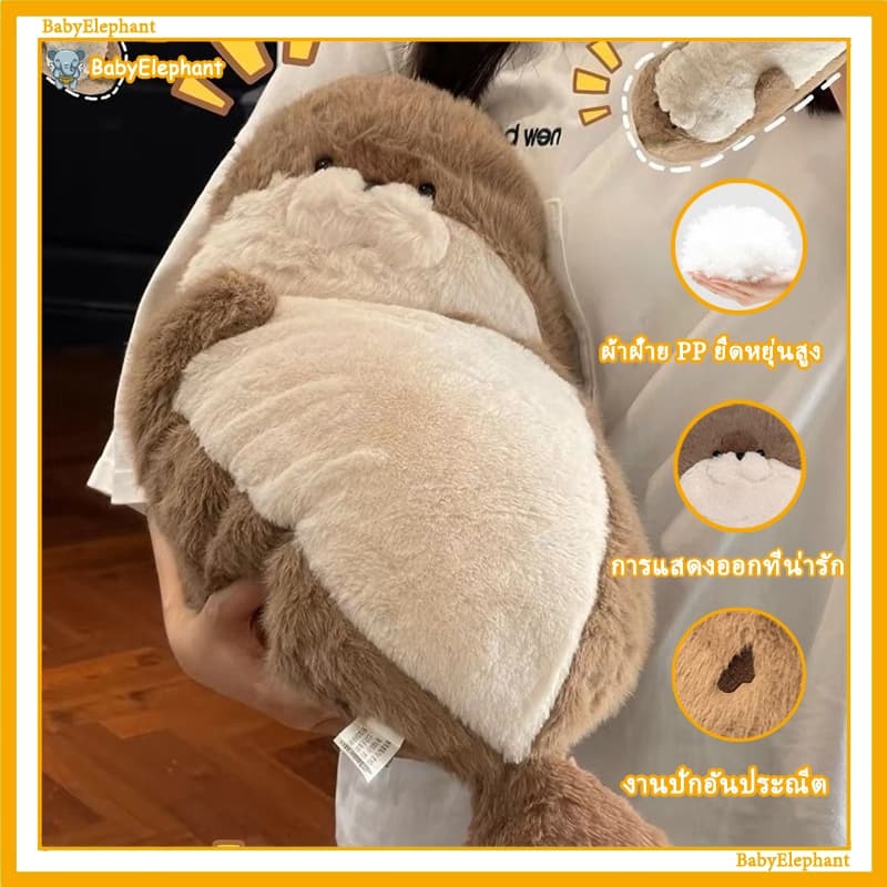 หมอนกอดลูกแมวน้ำ 3 ไซส์ 35/60/80cm น่ารักปังๆ เนื้อผ้านุ่มฮุ้ง หมอนกอดยาว ตัวใหญ่ฟูเวอร์ ให้น้องกอดทุกคืน รูปที่ 2