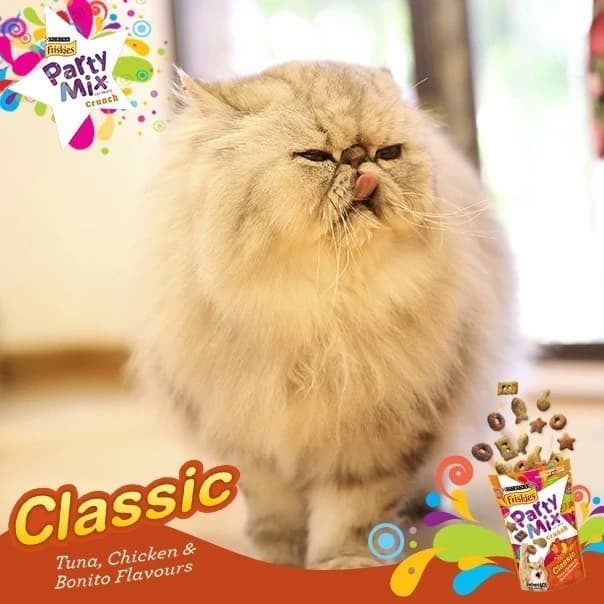 Friskies Party Mix, FELIX Party Mix - ขนมแมว !! ยกกล่อง 8 ซอง พิเศษ 445.- !! รูปที่ 7