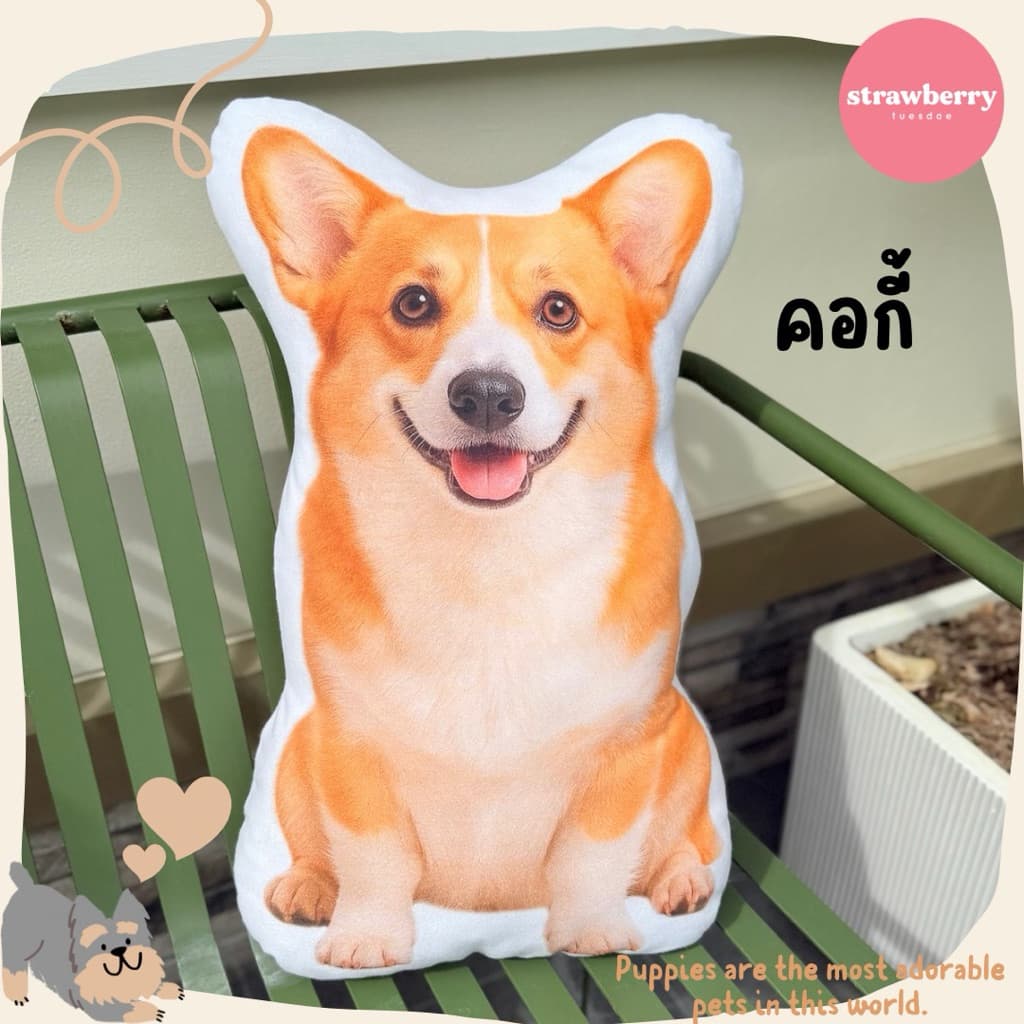 หมอนพิมพ์ลายเจ้าหมา ตุ๊กตาหมา หมอนหมา ขนาด60cm ใบใหญ่ สีสวยคมชัด สต็อคแน่น มีเก็บปลายทาง รูปที่ 6