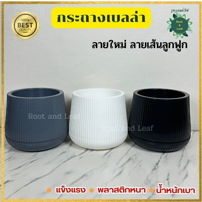 กระถางเบลล่าลายลูกฟูก กระถางพลาสติกมินิมอล ลายใหม่ลายเส้นลูกฟูก ขนาด 9 นิ้ว และ 11 นิ้ว เหมาะสำหรับตกแต่งบ้านแต่งคอนโด รูปที่ 3