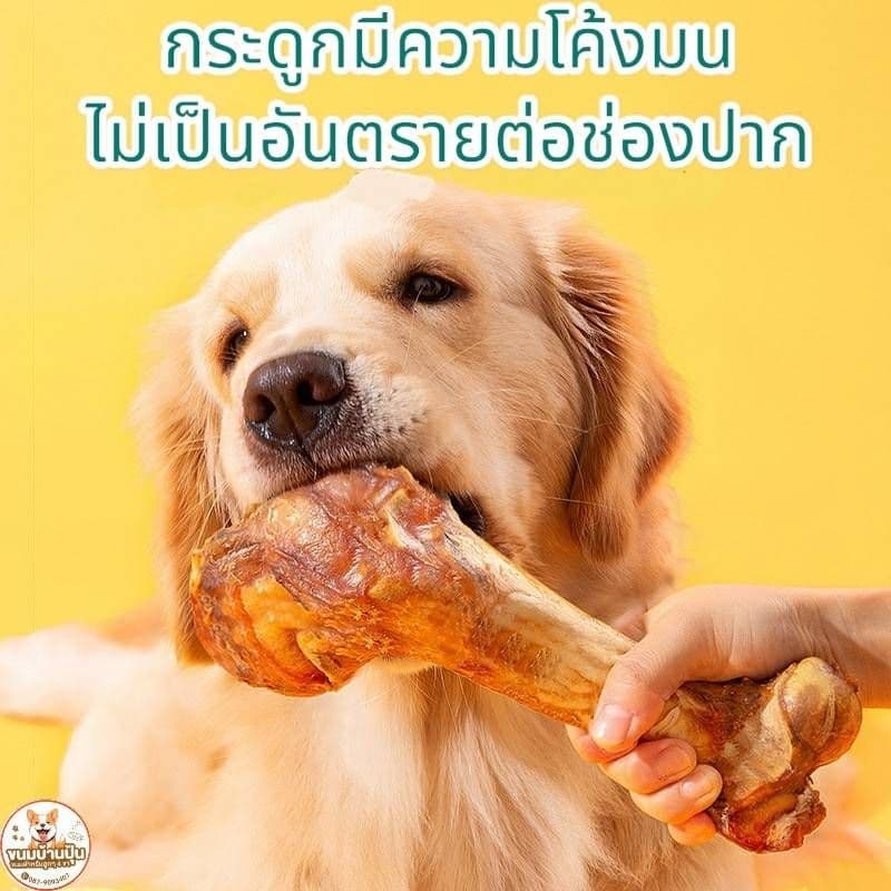 กระดูกสุนัขแทะ กระดูกข้อขาวัว แท้ 100% ขนมขัดฟันสุนัข มี 2 ขนาด รูปที่ 2