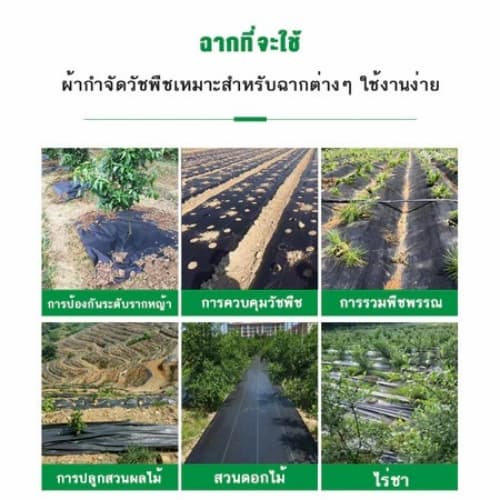 ผ้าคลุมดิน คลุมดิน พลาสติกคลุมวัชพืช ผ้าคลุมหญ้า พราสติกคลุมดิน ผ้าคลุมวัชพืช น้ำซึมผ่านได้ คลุมวัชพืช 50/100m รูปที่ 8