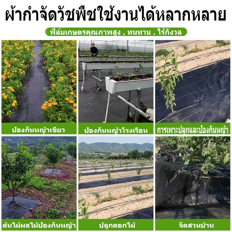 ผ้าคลุมดิน คลุมดิน พลาสติกคลุมวัชพืช ผ้าคลุมหญ้า พราสติกคลุมดิน ผ้าคลุมวัชพืช น้ำซึมผ่านได้ คลุมวัชพืช 50/100m รูปที่ 9