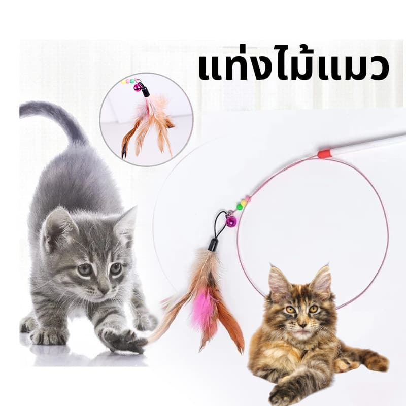 ไม้ตกแมว ของเล่นแมว ไม้แมว ไม้ล่อแมว ขอเล่นแมว ของเล่นเเมว หลากหลายสไตล์ ไว้ล่อแมว คลาดเครียดคลายเหงา รูปที่ 1