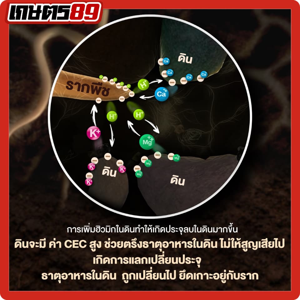 แบล็กเอิร์ธ Black Earth โพแทสเซียมฮิวเมท ฮิวมิกผงเข้มข้นละลายน้ำ ฉีดพ่นทางใบ ฟื้นฟูดิน รากกินอาหารได้มากขึ้น 25กก. รูปที่ 4