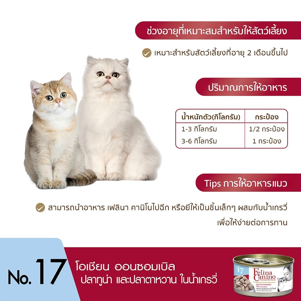 Felina Canino : NO.17 Ocean Ensemble 70g. รูปที่ 5