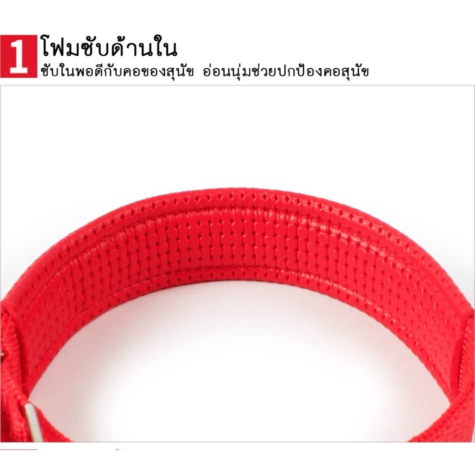 PET LIFE ปลอกคอสัตว์เลี้ยง ปลอกคอสุนัข ปลอกคอแมว แบบไนล่อน มี 4 ขนาด 4 สีให้เลือก แบบไนล่อน รูปที่ 4