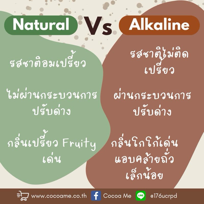 โกโก้แมส 100% รูปที่ 3