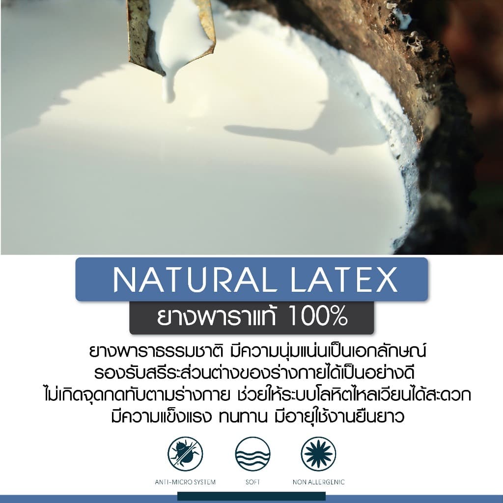 LUCKY Mattress ที่นอนยางพารา 100% CLOUDSOFT NATURAL LATEX รูปที่ 2