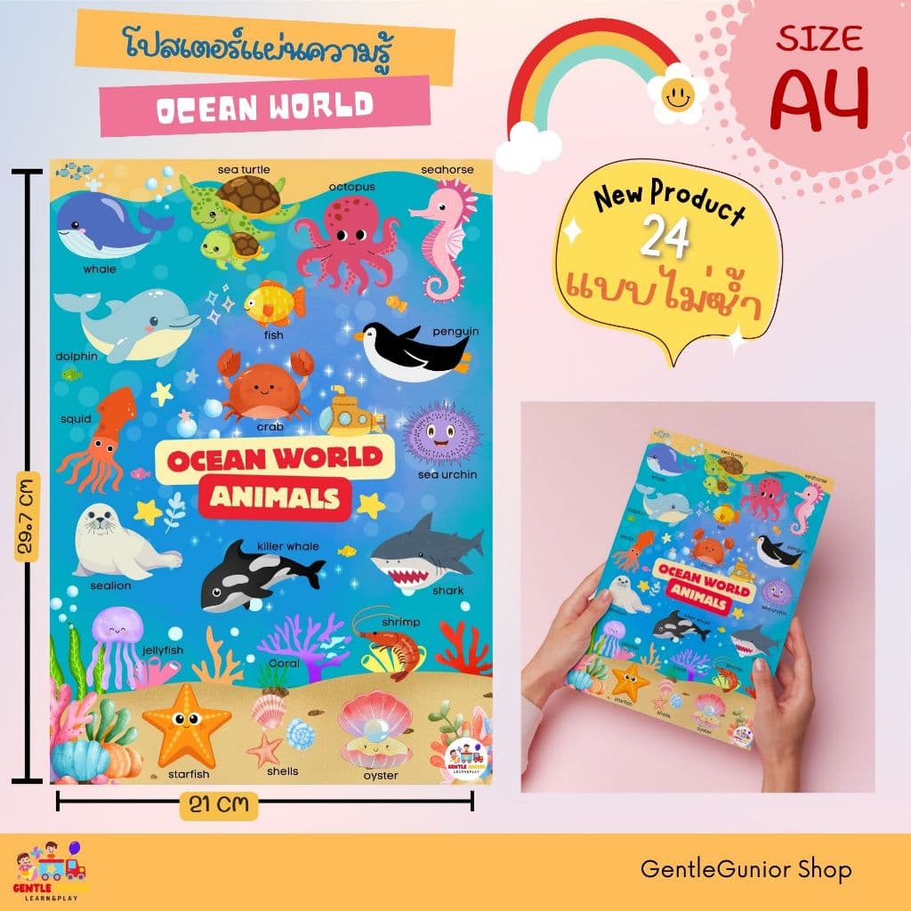 NEW!! แผ่นความรู้ 24 แบบ!! สำหรับเด็กอนุบาลขนาด A4 โปสเตอร์หัดอ่าน สื่อการสอนฝึกอ่านเสริมพัฒนาการ รูปที่ 8