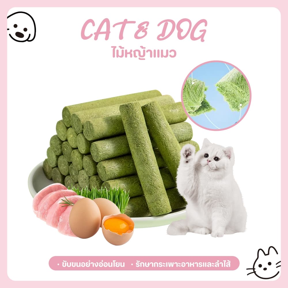 หญ้าแมวฟรีซดราย หญ้าแมวแห้ง ต้นอ่อนข้าวสาลี หญ้าแมวแท่ง ขนมหญ้าแมว ผลิตจากต้นอ่อนข้าวสาลี รูปที่ 1