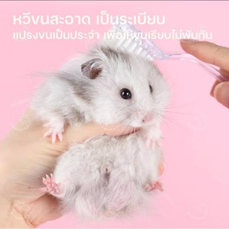 Hamu ไม้กวาดและที่โกยขนาดมินิ ช้อนตักอึ แปรงหวีขน แปรงปัดฝุ่น พกพาสะดวก รูปที่ 8