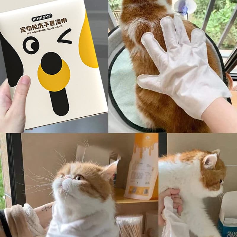Pet Assistant ถุงมือสัตว์เลี้ยงแบบใช้แล้วทิ้ง ถุงมือสปา ถุงมืออาบน้ำแมว สุนัข ไม่ระคายเคืองผิว 6pcs รูปที่ 7