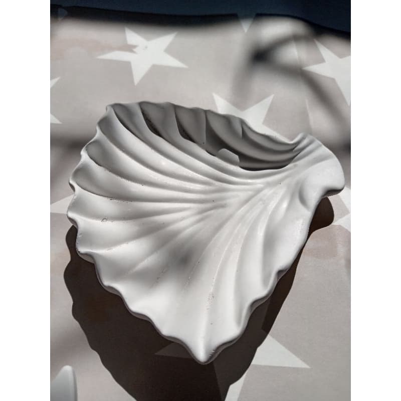 พร๊อบถ่ายรูปสินค้า เปลือกหอยสีขาว ของตกแต่ง รูปที่ 3