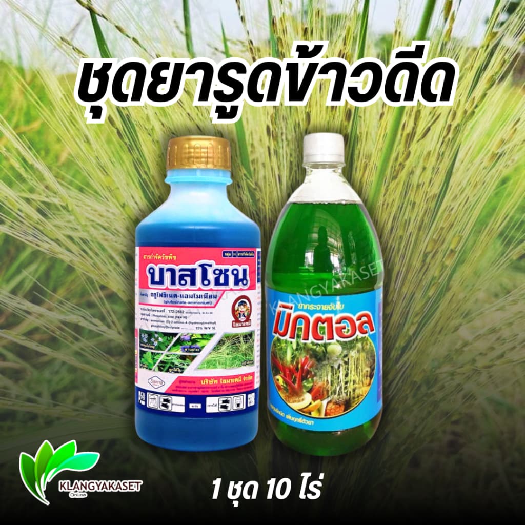 ยาลูบข้าวดีด เครื่องรูดข้าวดีด ลูบข้าวดีด รูดข้าวดีด อุปกรณ์กำจัดข้าวดีด รูปที่ 7