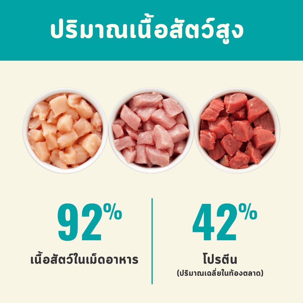 Bite Of Wild P42 อาหารแมว 1KG Grain Free โปรตีน 42% 3 เนื้อฟรีซดราย ไก่ปลาแซลมอนเนื้อปลา สำหรับแมวทุกช รูปที่ 4